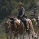 Image for article titled Awesome Woman Traverses 18,000 Miles of American Wilderness With Little More Than Her Horses, a Dog and a Sombrero